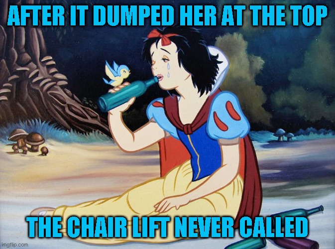 AFTER IT DUMPED HER AT THE TOP THE CHAIR LIFT NEVER CALLED | made w/ Imgflip meme maker