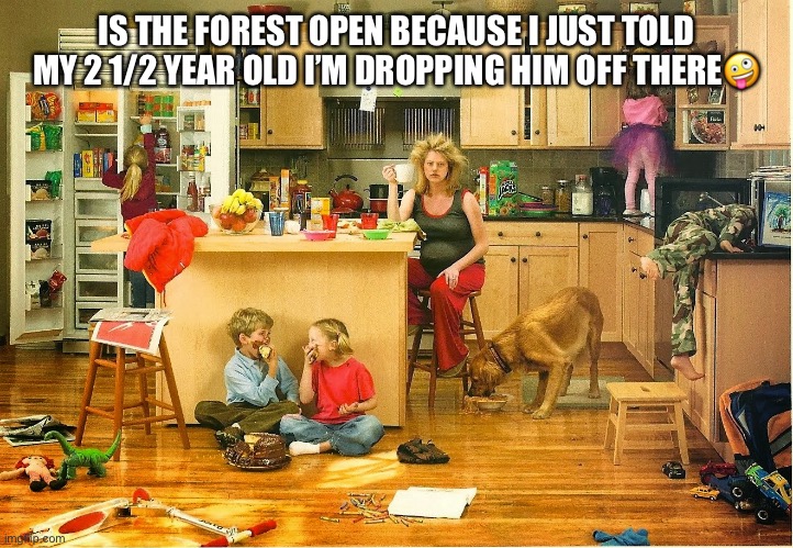 stressed mom | IS THE FOREST OPEN BECAUSE I JUST TOLD MY 2 1/2 YEAR OLD I’M DROPPING HIM OFF THERE🤪 | image tagged in stressed mom | made w/ Imgflip meme maker