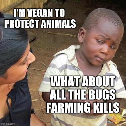 Third World Skeptical Kid | I'M VEGAN TO  PROTECT ANIMALS; WHAT ABOUT ALL THE BUGS FARMING KILLS | image tagged in memes,third world skeptical kid | made w/ Imgflip meme maker
