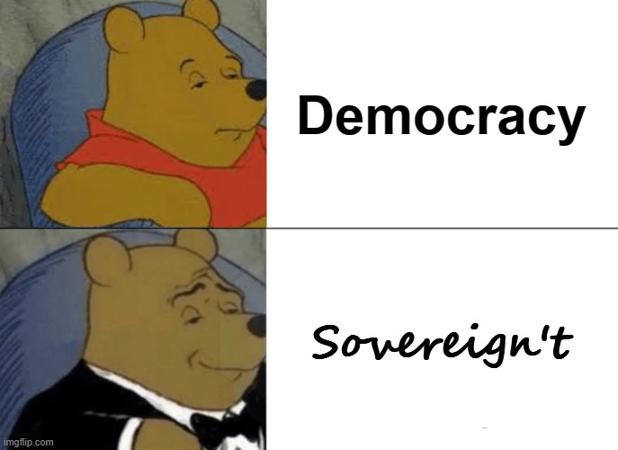Tuxedo Winnie The Pooh Meme | Democracy; Sovereign't | image tagged in memes,tuxedo winnie the pooh | made w/ Imgflip meme maker