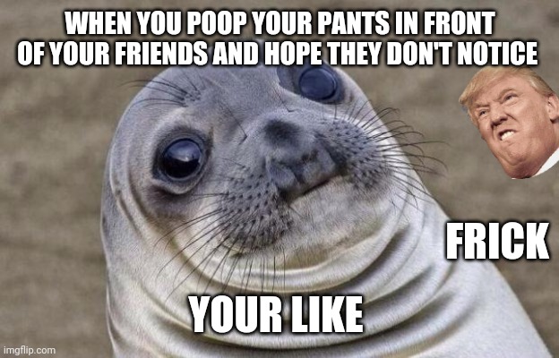 Awkward Moment Sealion | WHEN YOU POOP YOUR PANTS IN FRONT OF YOUR FRIENDS AND HOPE THEY DON'T NOTICE; FRICK; YOUR LIKE | image tagged in memes,awkward moment sealion | made w/ Imgflip meme maker