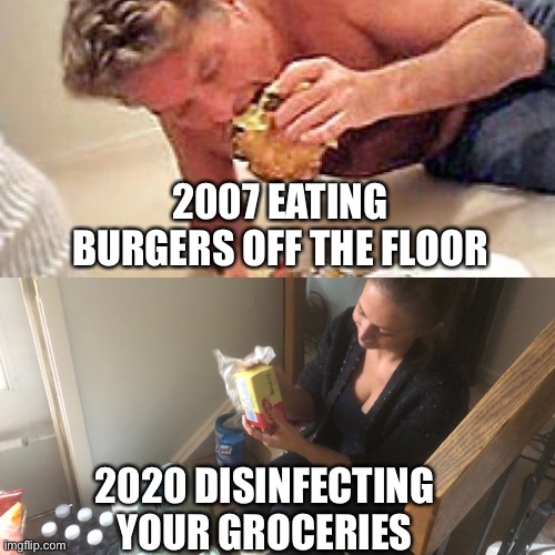 Life in 2020 | 2007 EATING BURGERS OFF THE FLOOR; 2020 DISINFECTING YOUR GROCERIES | image tagged in quarantine,isolation,coronavirus,david hasselhoff,lysol | made w/ Imgflip meme maker