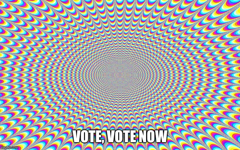 Funky | VOTE, VOTE NOW | image tagged in funky | made w/ Imgflip meme maker
