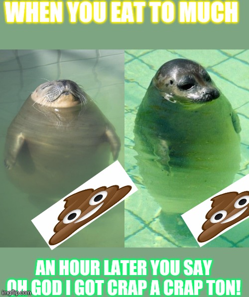 Fat seals | WHEN YOU EAT TO MUCH; AN HOUR LATER YOU SAY OH GOD I GOT CRAP A CRAP TON! | image tagged in fat seals | made w/ Imgflip meme maker