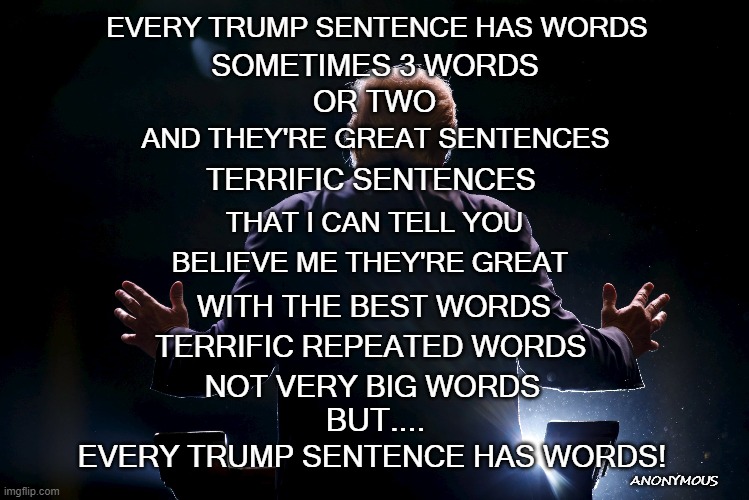 Trump words | EVERY TRUMP SENTENCE HAS WORDS; SOMETIMES 3 WORDS; OR TWO; AND THEY'RE GREAT SENTENCES; TERRIFIC SENTENCES; THAT I CAN TELL YOU; BELIEVE ME THEY'RE GREAT; WITH THE BEST WORDS; TERRIFIC REPEATED WORDS; NOT VERY BIG WORDS; BUT.... EVERY TRUMP SENTENCE HAS WORDS! ANONYMOUS | image tagged in trump words,words,trump speech | made w/ Imgflip meme maker