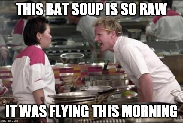 Angry Chef Gordon Ramsay Meme | THIS BAT SOUP IS SO RAW; IT WAS FLYING THIS MORNING | image tagged in memes,angry chef gordon ramsay | made w/ Imgflip meme maker