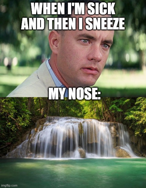 Sneeze | WHEN I'M SICK AND THEN I SNEEZE; MY NOSE: | image tagged in waterfall,memes,and just like that | made w/ Imgflip meme maker