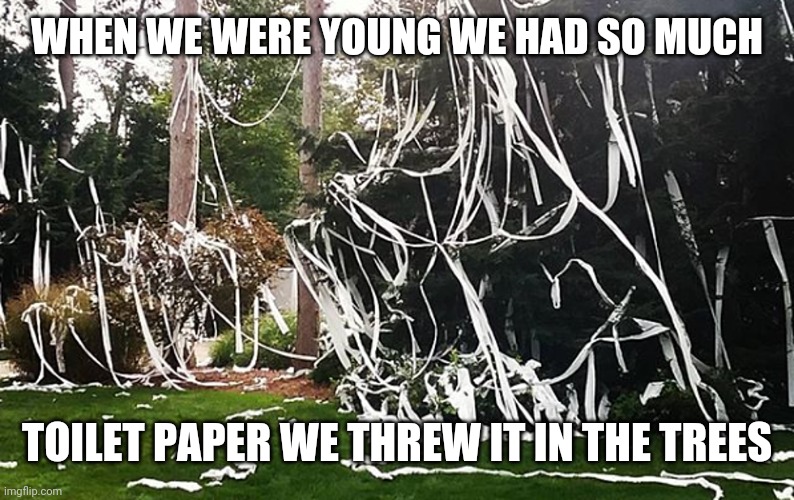 WHEN WE WERE YOUNG WE HAD SO MUCH; TOILET PAPER WE THREW IT IN THE TREES | made w/ Imgflip meme maker