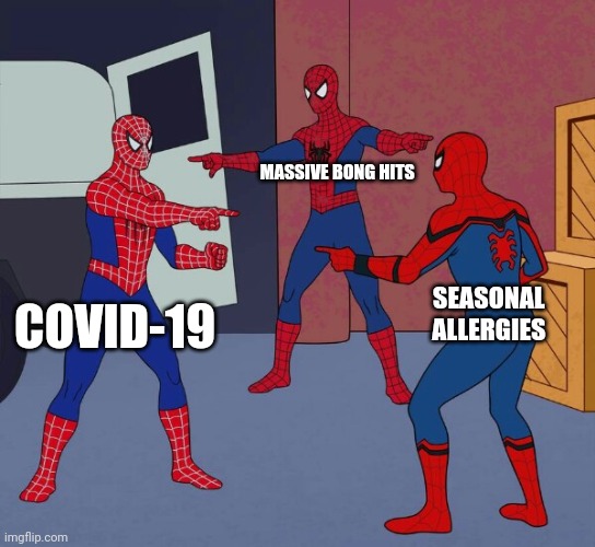3 Spidermen Pointing at each other | MASSIVE BONG HITS; SEASONAL ALLERGIES; COVID-19 | image tagged in 3 spidermen pointing at each other | made w/ Imgflip meme maker