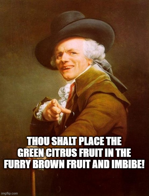 Brutha Call the Doctor... | THOU SHALT PLACE THE GREEN CITRUS FRUIT IN THE FURRY BROWN FRUIT AND IMBIBE! | image tagged in memes,joseph ducreux | made w/ Imgflip meme maker