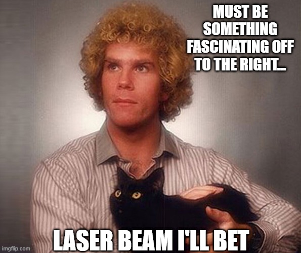 Follow the Light | MUST BE SOMETHING FASCINATING OFF TO THE RIGHT... LASER BEAM I'LL BET | image tagged in cats | made w/ Imgflip meme maker