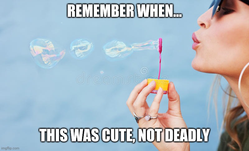 REMEMBER WHEN... THIS WAS CUTE, NOT DEADLY | image tagged in coronavirus,bubbles | made w/ Imgflip meme maker
