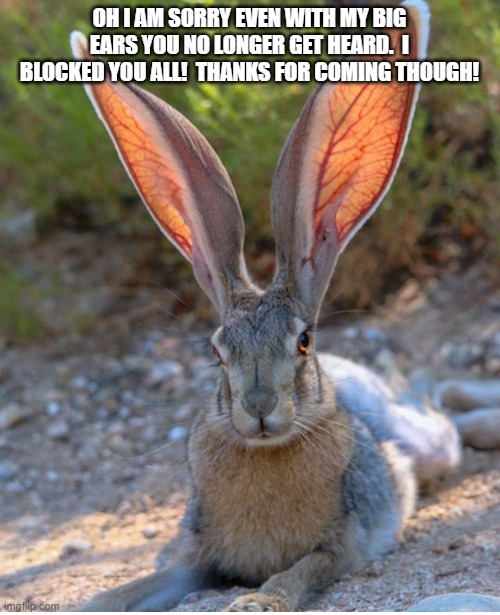 Bunny big ears | OH I AM SORRY EVEN WITH MY BIG EARS YOU NO LONGER GET HEARD.  I BLOCKED YOU ALL!  THANKS FOR COMING THOUGH! | image tagged in bunny big ears | made w/ Imgflip meme maker