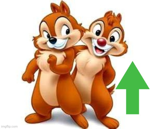 Chip and Dale | image tagged in chip and dale | made w/ Imgflip meme maker