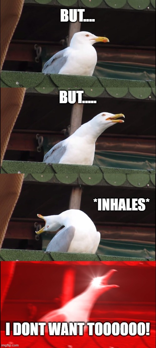 Inhaling Seagull Meme | BUT.... BUT..... *INHALES* I DONT WANT TOOOOOO! | image tagged in memes,inhaling seagull | made w/ Imgflip meme maker