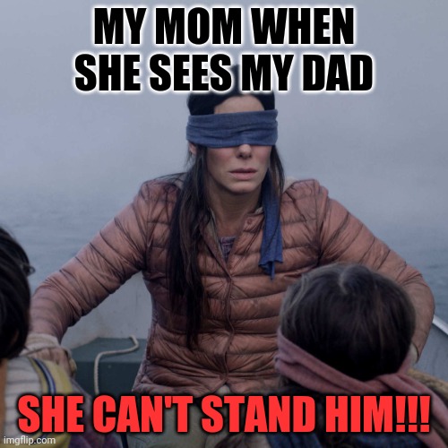 Bird Box Meme | MY MOM WHEN SHE SEES MY DAD; SHE CAN'T STAND HIM!!! | image tagged in memes,bird box | made w/ Imgflip meme maker
