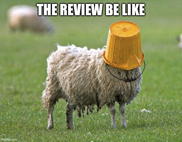 stupid sheep | THE REVIEW BE LIKE | image tagged in stupid sheep | made w/ Imgflip meme maker