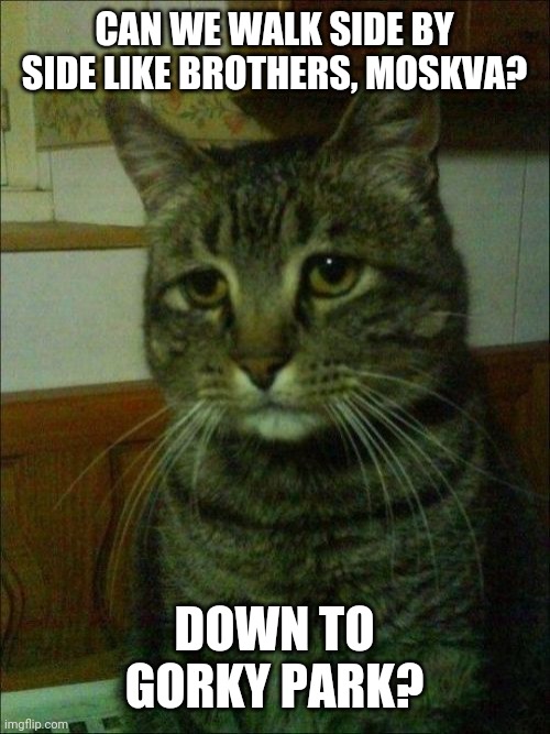 Depressed Cat | CAN WE WALK SIDE BY SIDE LIKE BROTHERS, MOSKVA? DOWN TO GORKY PARK? | image tagged in memes,depressed cat | made w/ Imgflip meme maker
