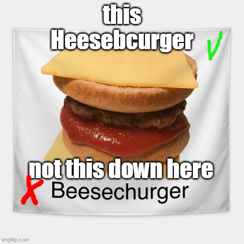 Heesebcurger | this
Heesebcurger; not this down here | image tagged in cheeseburger,beesechurger,heesebcurger,burger,cheese,beese | made w/ Imgflip meme maker