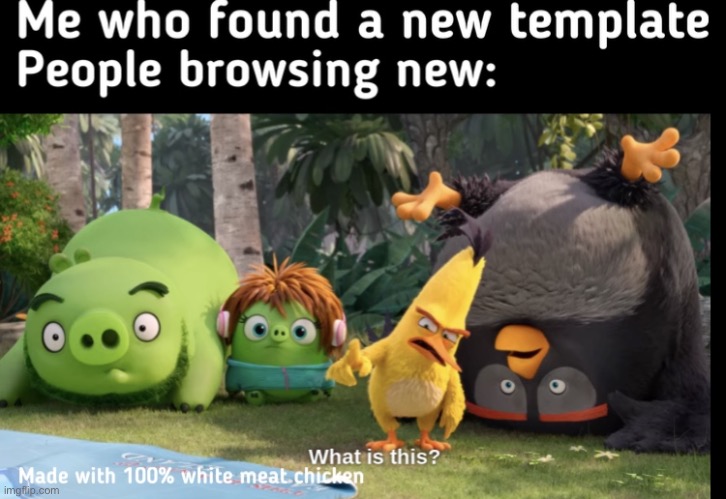 image tagged in angry birds,new template | made w/ Imgflip meme maker