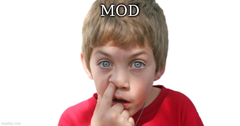 dumb kid | MOD | image tagged in kid picking nose | made w/ Imgflip meme maker