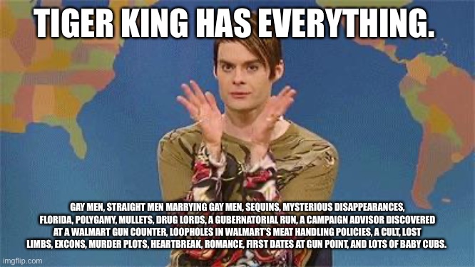 Stefan snl | TIGER KING HAS EVERYTHING. GAY MEN, STRAIGHT MEN MARRYING GAY MEN, SEQUINS, MYSTERIOUS DISAPPEARANCES, FLORIDA, POLYGAMY, MULLETS, DRUG LORDS, A GUBERNATORIAL RUN, A CAMPAIGN ADVISOR DISCOVERED AT A WALMART GUN COUNTER, LOOPHOLES IN WALMART’S MEAT HANDLING POLICIES, A CULT, LOST LIMBS, EXCONS, MURDER PLOTS, HEARTBREAK, ROMANCE, FIRST DATES AT GUN POINT, AND LOTS OF BABY CUBS. | image tagged in stefan snl | made w/ Imgflip meme maker