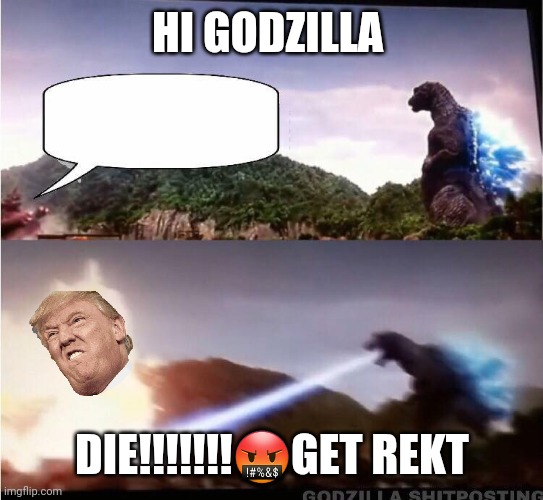 Godzilla Atomic Breath | HI GODZILLA; DIE!!!!!!!🤬GET REKT | image tagged in godzilla atomic breath | made w/ Imgflip meme maker
