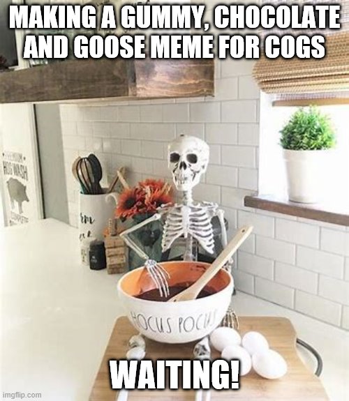 chef |  MAKING A GUMMY, CHOCOLATE AND GOOSE MEME FOR COGS; WAITING! | image tagged in funny | made w/ Imgflip meme maker
