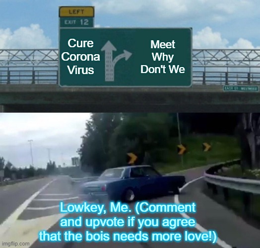 Left Exit 12 Off Ramp | Cure Corona Virus; Meet Why Don't We; Lowkey, Me. (Comment and upvote if you agree that the bois needs more love!) | image tagged in memes,left exit 12 off ramp | made w/ Imgflip meme maker