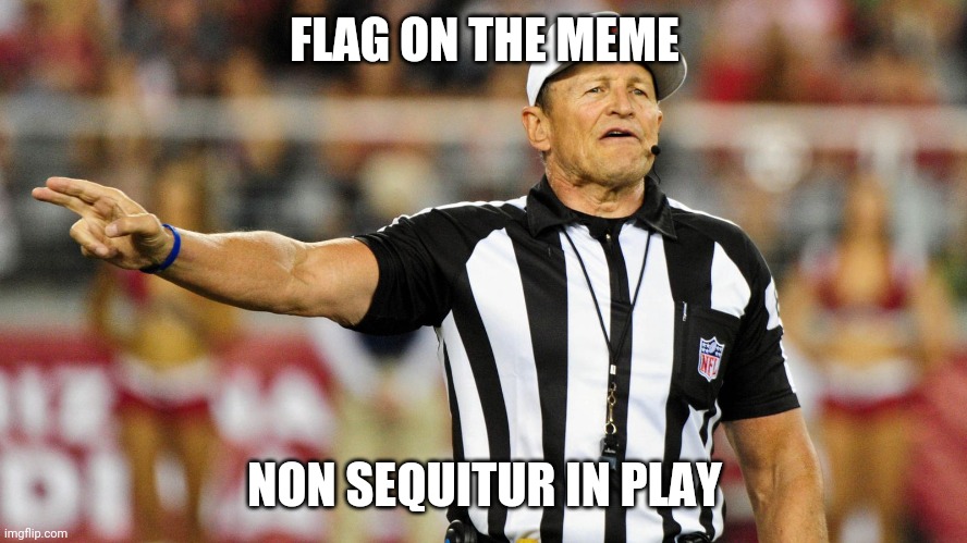 Logical Fallacy Referee | FLAG ON THE MEME NON SEQUITUR IN PLAY | image tagged in logical fallacy referee | made w/ Imgflip meme maker