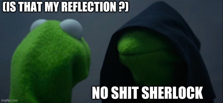 Evil Kermit Meme | (IS THAT MY REFLECTION ?); NO SHIT SHERLOCK | image tagged in memes,evil kermit | made w/ Imgflip meme maker