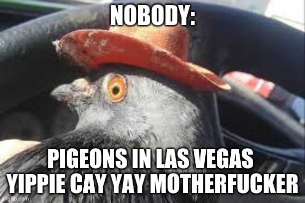 Pigeon | NOBODY:; PIGEONS IN LAS VEGAS 
YIPPIE CAY YAY MOTHERFUCKER | image tagged in pigeon | made w/ Imgflip meme maker