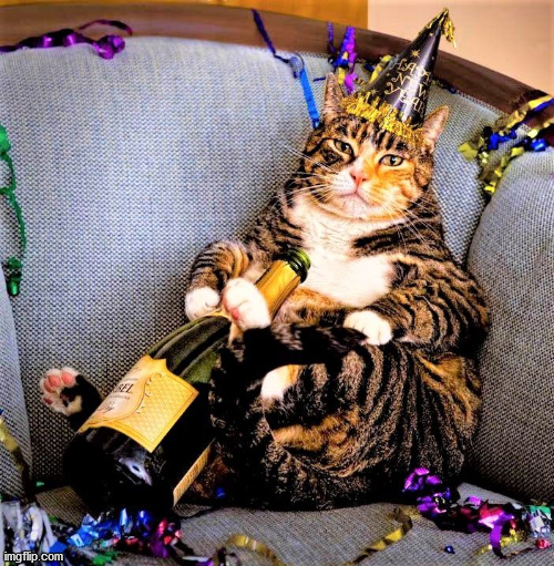 New Year 2018 cat. B Capron | image tagged in new year 2018 cat b capron | made w/ Imgflip meme maker