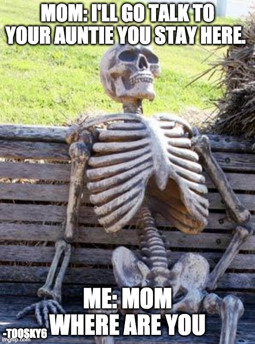 Waiting Skeleton Meme | MOM: I'LL GO TALK TO YOUR AUNTIE YOU STAY HERE. ME: MOM WHERE ARE YOU; -TOOSKY6 | image tagged in memes,waiting skeleton | made w/ Imgflip meme maker