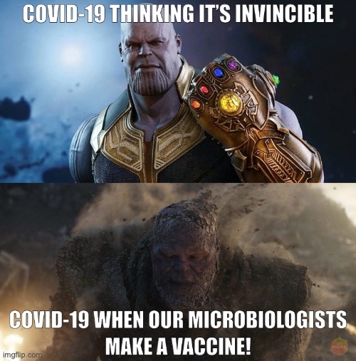 Let's defeat Covid-19 | image tagged in covid-19,coronavirus,thanos,vaccine,avengers | made w/ Imgflip meme maker