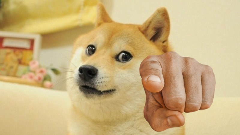 High Quality Doge Point Blank Meme Template