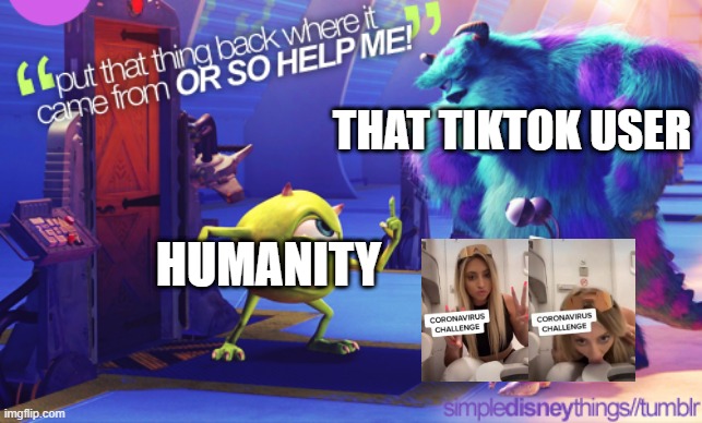 put that thing | THAT TIKTOK USER; HUMANITY | image tagged in put that thing | made w/ Imgflip meme maker