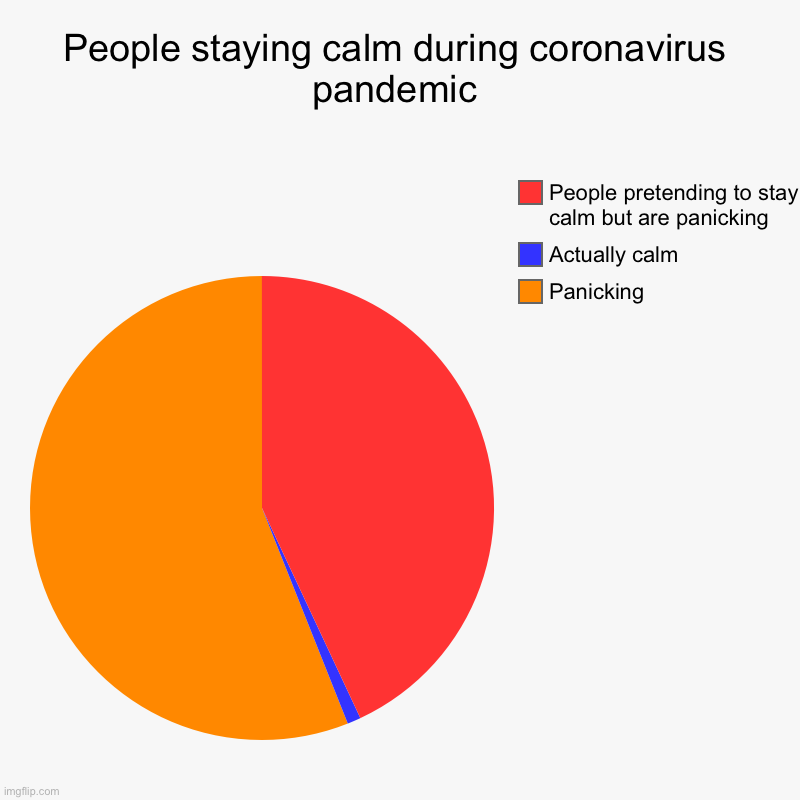 People staying calm during coronavirus pandemic | Panicking, Actually calm, People pretending to stay calm but are panicking | image tagged in charts,pie charts | made w/ Imgflip chart maker