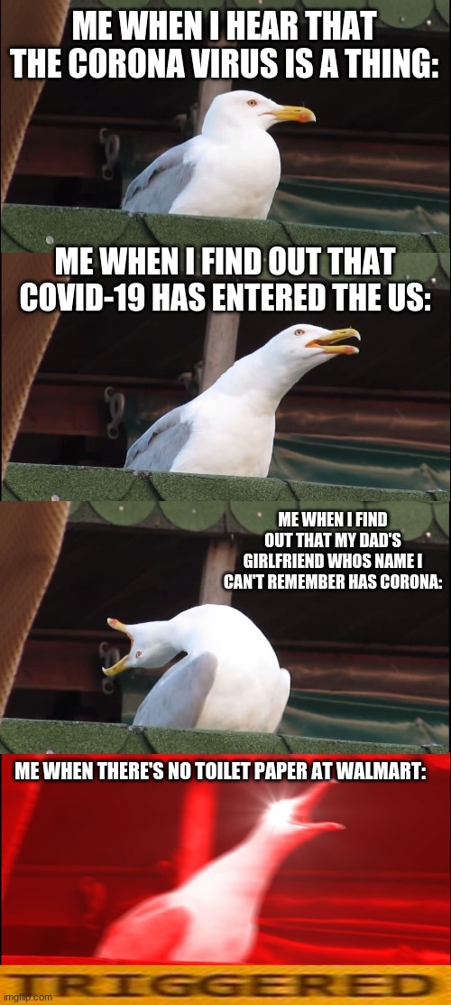 Inhaling Seagull Meme | ME WHEN I HEAR THAT THE CORONA VIRUS IS A THING:; ME WHEN I FIND OUT THAT COVID-19 HAS ENTERED THE US:; ME WHEN I FIND OUT THAT MY DAD'S GIRLFRIEND WHOS NAME I CAN'T REMEMBER HAS CORONA:; ME WHEN THERE'S NO TOILET PAPER AT WALMART: | image tagged in memes,inhaling seagull | made w/ Imgflip meme maker