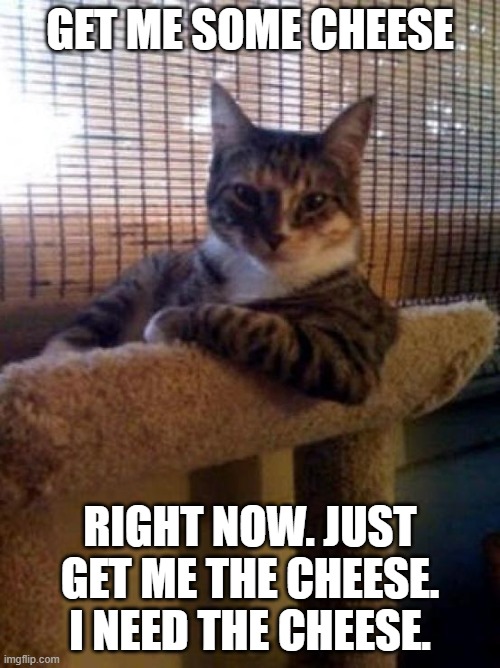 The Most Interesting Cat In The World Meme | GET ME SOME CHEESE; RIGHT NOW. JUST GET ME THE CHEESE. I NEED THE CHEESE. | image tagged in memes,the most interesting cat in the world | made w/ Imgflip meme maker
