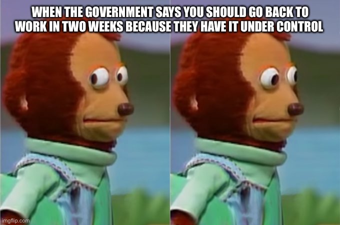 Awkward Monkey | WHEN THE GOVERNMENT SAYS YOU SHOULD GO BACK TO WORK IN TWO WEEKS BECAUSE THEY HAVE IT UNDER CONTROL | image tagged in awkward monkey | made w/ Imgflip meme maker