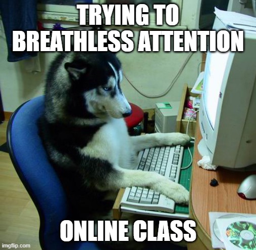 I Have No Idea What I Am Doing | TRYING TO BREATHLESS ATTENTION; ONLINE CLASS | image tagged in memes,i have no idea what i am doing | made w/ Imgflip meme maker