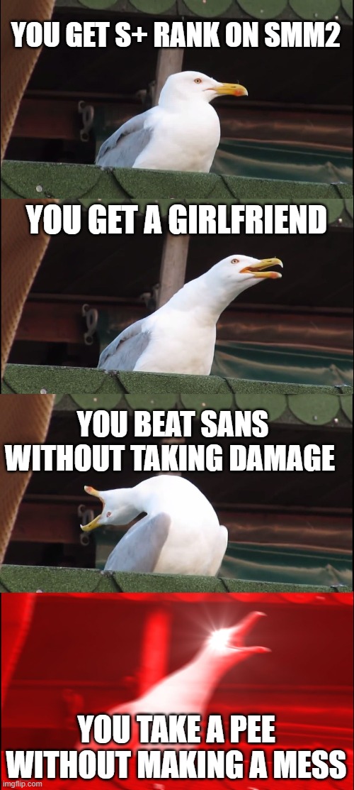 Inhaling Seagull | YOU GET S+ RANK ON SMM2; YOU GET A GIRLFRIEND; YOU BEAT SANS WITHOUT TAKING DAMAGE; YOU TAKE A PEE WITHOUT MAKING A MESS | image tagged in memes,inhaling seagull | made w/ Imgflip meme maker