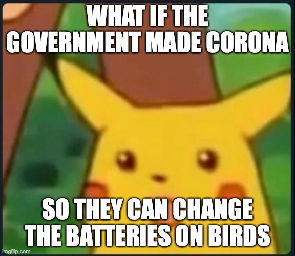 Surprised Pikachu | WHAT IF THE GOVERNMENT MADE CORONA; SO THEY CAN CHANGE THE BATTERIES ON BIRDS | image tagged in surprised pikachu | made w/ Imgflip meme maker