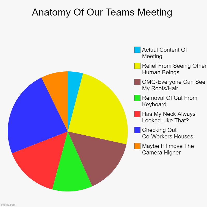 Anatomy Of Our Teams Meeting | Maybe If I move The Camera Higher, Checking Out Co-Workers Houses, Has My Neck Always Looked Like That?, Remo | image tagged in charts,pie charts | made w/ Imgflip chart maker