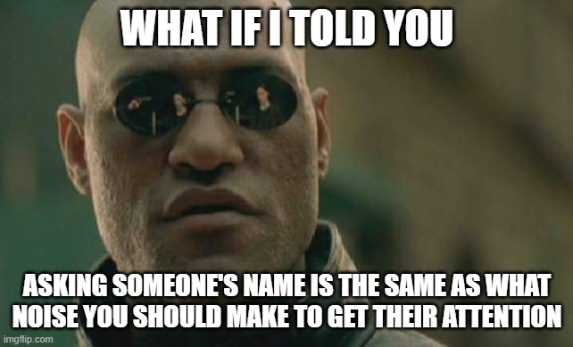 Things you think about while quarantined | WHAT IF I TOLD YOU; ASKING SOMEONE'S NAME IS THE SAME AS WHAT NOISE YOU SHOULD MAKE TO GET THEIR ATTENTION | image tagged in memes,matrix morpheus,shower thoughts,meme | made w/ Imgflip meme maker