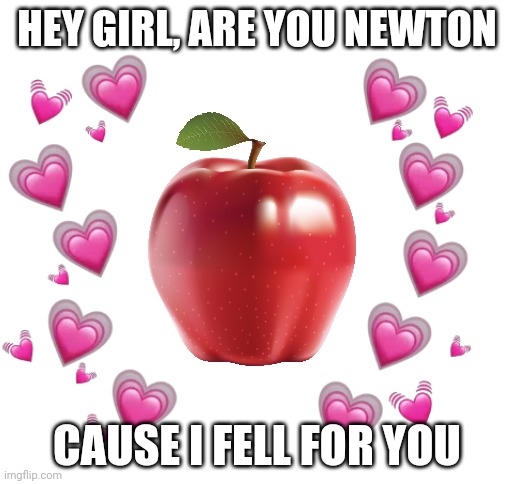 HEY GIRL, ARE YOU NEWTON; CAUSE I FELL FOR YOU | image tagged in blank white template | made w/ Imgflip meme maker