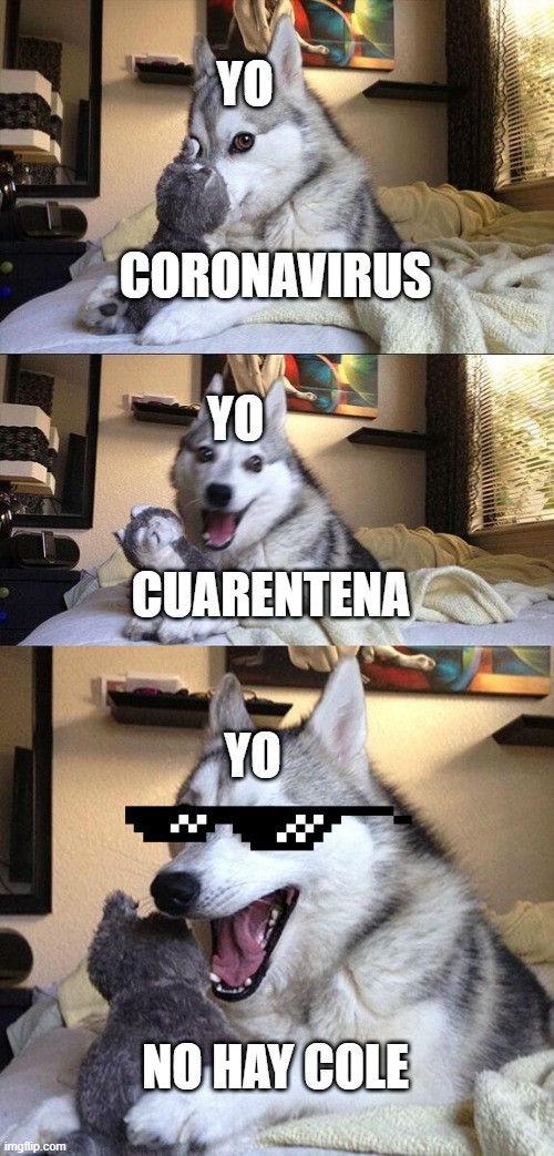 Bad Pun Dog Meme | YO; CORONAVIRUS; YO; CUARENTENA; YO; NO HAY COLE | image tagged in memes,bad pun dog | made w/ Imgflip meme maker