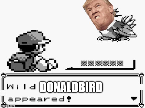 pokemon appears | DONALDBIRD | image tagged in pokemon appears | made w/ Imgflip meme maker