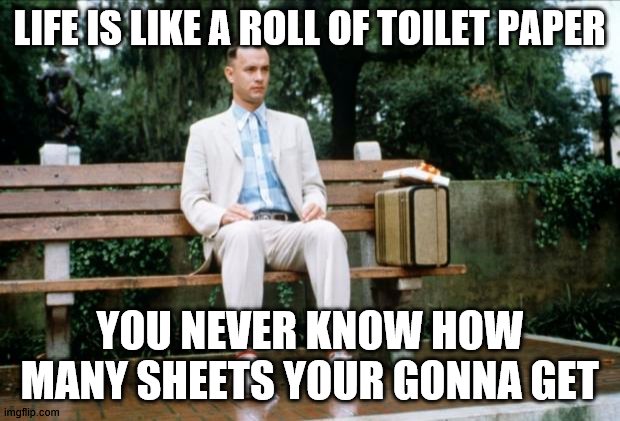Forrest Gump | LIFE IS LIKE A ROLL OF TOILET PAPER; YOU NEVER KNOW HOW MANY SHEETS YOUR GONNA GET | image tagged in forrest gump | made w/ Imgflip meme maker